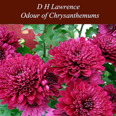 Odour of Chrysanthemums