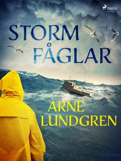 Stormfåglar – omslag till ljudboken av Arne Lundgren