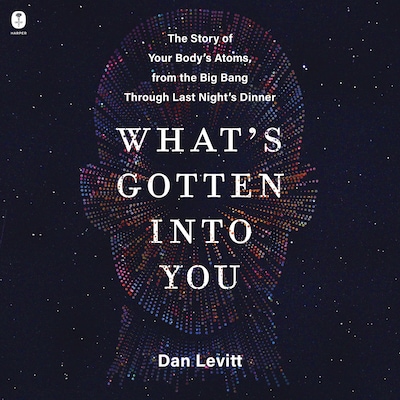 What's Gotten Into You – omslag til lydbogen af Dan Levitt