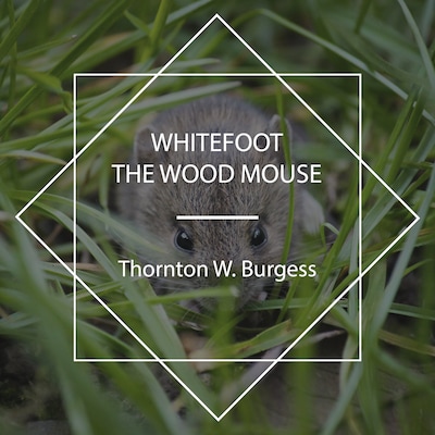 Whitefoot the Wood Mouse – omslag til lydbogen af Thornton W. Burgess