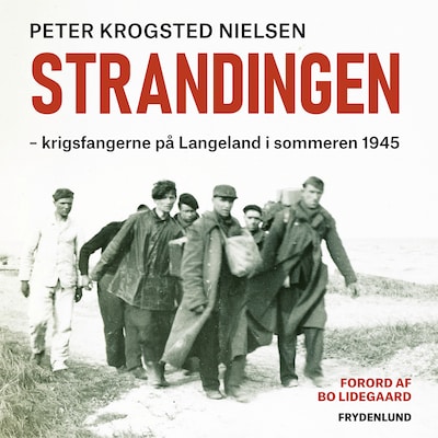 Strandingen – omslag til lydbogen af Peter Krogsted Nielsen
