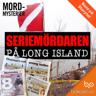 Seriemördaren på Long Island
