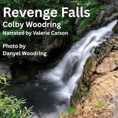 Revenge Falls – omslag til lydbogen af Colby Woodring