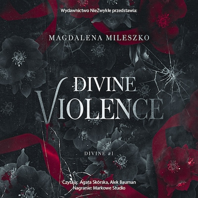 Divine Violence – okładka audiobooka, autor Magdalena Mileszko