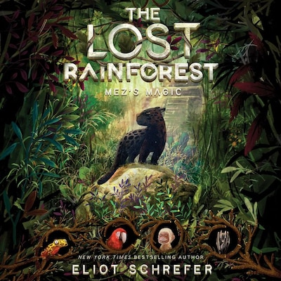 The Lost Rainforest #1: Mez's Magic