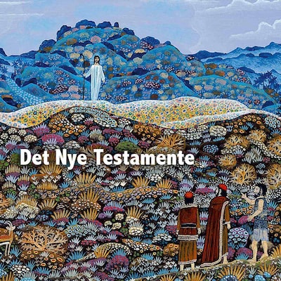 Det nye testamente – omslag til lydbogen af Unknown Author