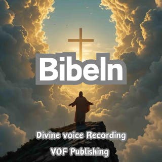 Bibeln – omslag till ljudboken av Bibeln