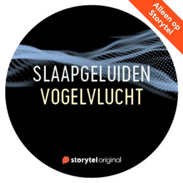 Slaapgeluiden: Vogelvlucht
