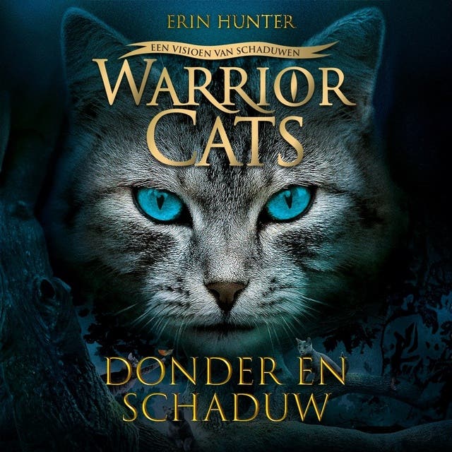 Donder en schaduw