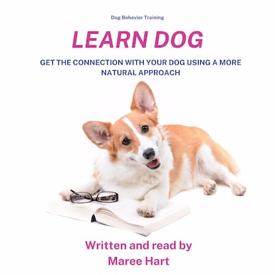 Dog Behiviour Training, Learn Dog