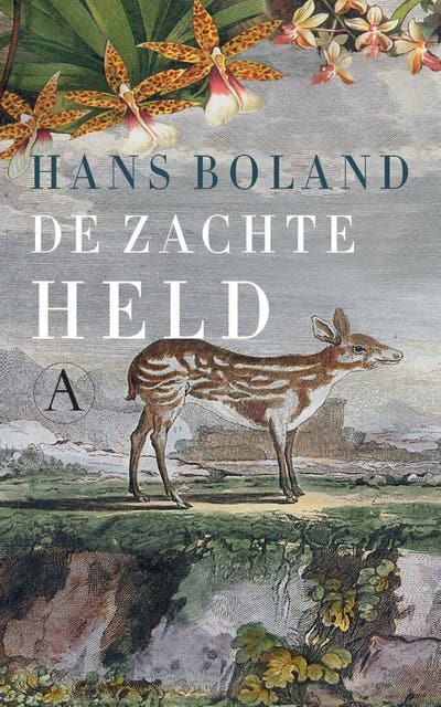 De zachte held – omslag van het luisterboek van Hans Boland