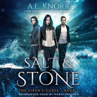 Salt & Stone - Audiobook – omslag til lydbogen af A. L. Knorr