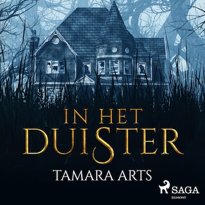 In het duister – omslag van het luisterboek van Tamara Arts