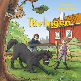 Tävlingen