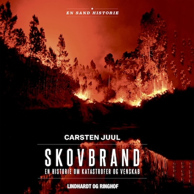Skovbrand – omslag til lydbogen af Carsten Juul