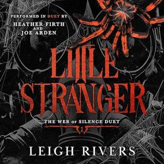 Little Stranger – omslag till ljudboken av Leigh Rivers