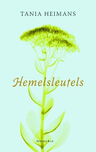 Hemelsleutels – omslag van het luisterboek van Tania Heimans