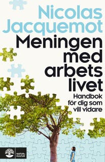 Meningen med arbetslivet : handbok för dig som vill vidare