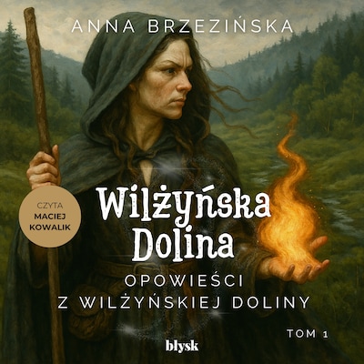 Opowieści z Wilżyńskiej Doliny – okładka audiobooka, autor Anna Brzezińska