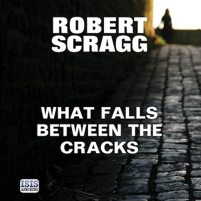 What Falls Between the Cracks