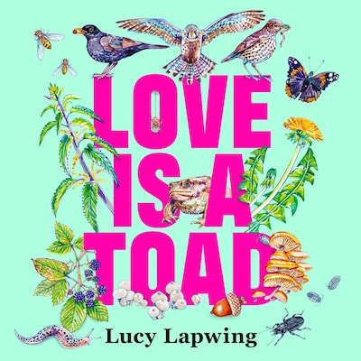 Love Is A Toad – omslag van het luisterboek van Lucy Lapwing
