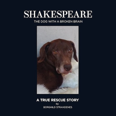 Shakespeare – omslag till ljudboken av Borghild Strandenes