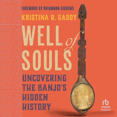 Well of Souls – omslag til lydbogen af Kristina R. Gaddy