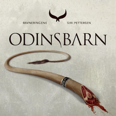 Odinsbarn. Ravneringene 1 – omslag til lydbogen af Siri Pettersen