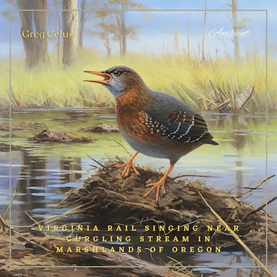Virginia Rail Singing Near Gurgling Stream in Marshlands of Oregon – omslag til lydbogen af Greg Cetus