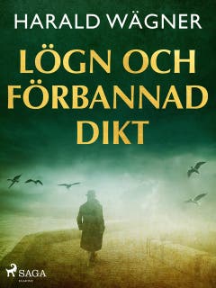 Lögn och förbannad dikt