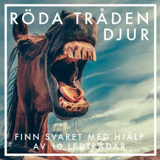 Röda tråden djur