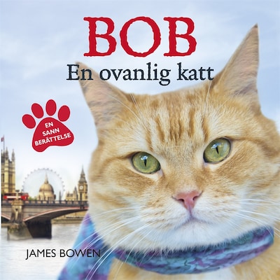 Bob : en ovanlig katt