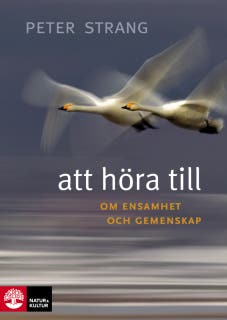 Att höra till : om ensamhet och gemenskap – omslag till ljudboken av Peter Strang