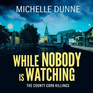 While Nobody is Watching: A dark, addictive and gritty Irish crime novel for fans of Jane Casey and Tana French