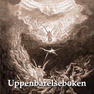 Uppenbarelseboken – omslag till ljudboken av Svenska Folkbibeln