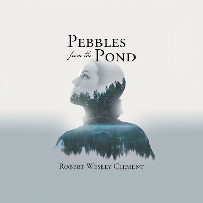 Pebbles From The Pond: A Teacher's Story