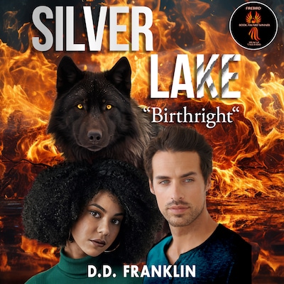 Silver Lake - Birthright – okładka audiobooka, autor D.D. Franklin