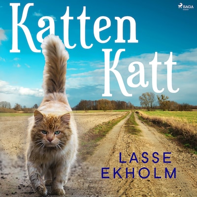 Katten Katt