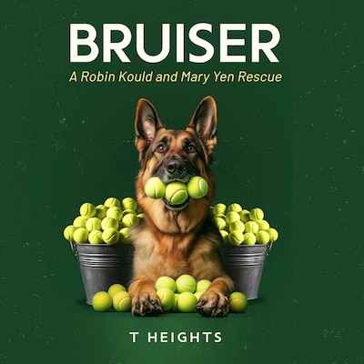 Bruiser – omslag til lydbogen af T Heights