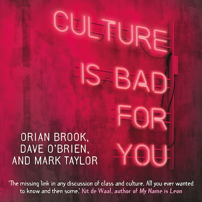 Culture is bad for you - Inequality in the cultural and creative industries (unabridged)