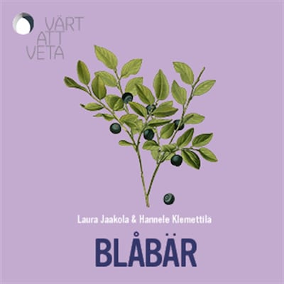 Blåbär