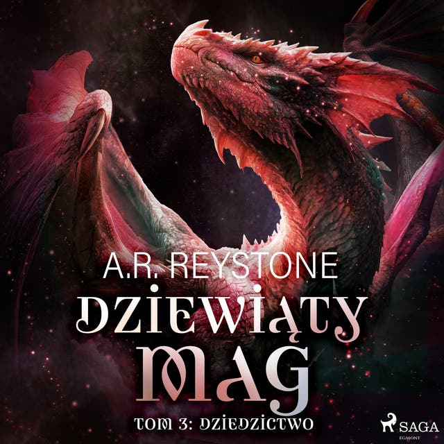 Dziewiąty Mag. Tom 3: Dziedzictwo – okładka audiobooka, autor A R Reystone