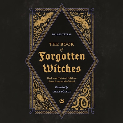 The Book of Forgotten Witches