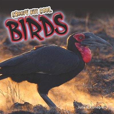 Creepy but Cool Birds – omslag til lydbogen af Julie K. Lundgren