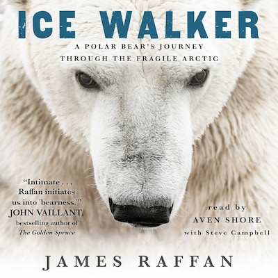Ice Walker