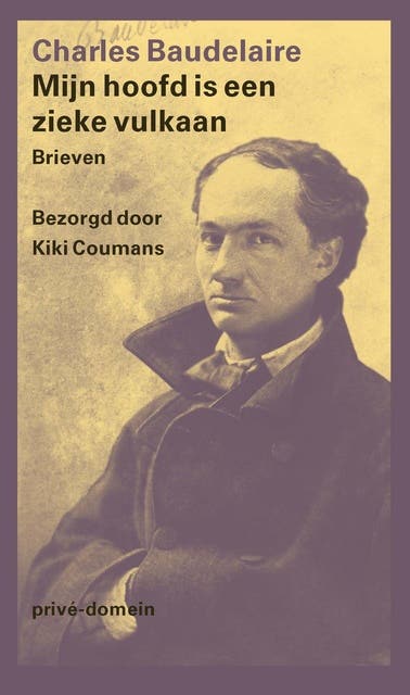 Mijn hoofd is een zieke vulkaan: Brieven