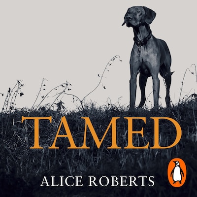 Tamed – omslag til lydbogen af Alice Roberts