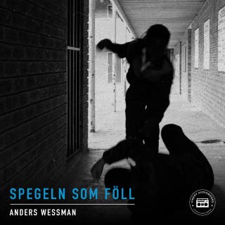 Spegeln som föll - en kriminalroman