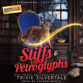 Stiffs and Petroglyphs: Paranormal Cozy Mystery