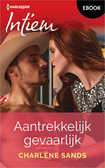 Aantrekkelijk gevaarlijk – omslag van het luisterboek van Charlene Sands